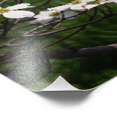 36"x24" ホワイトドッグウッド フォトプリント            (角)