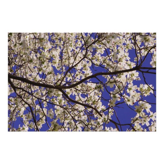 36"x24" ホワイトドッグウッド フォトプリント            (正面)