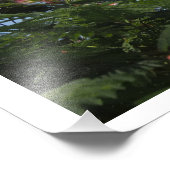 36"x24" ミモザの木 フォトプリント            (角)