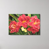 36"x24" レッドデイリリー キャンバスプリント (正面)
