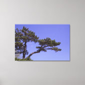 36"x24"松 キャンバスプリント (正面)