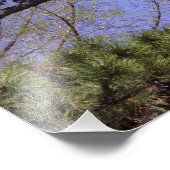 36"x24"松 フォトプリント            (角)