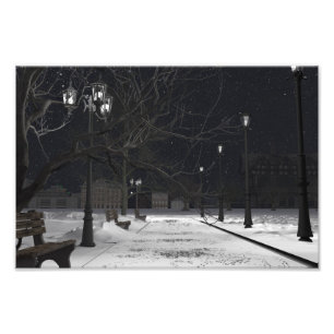36"x24"紙ポスターと"City Park"画像 フォトプリント