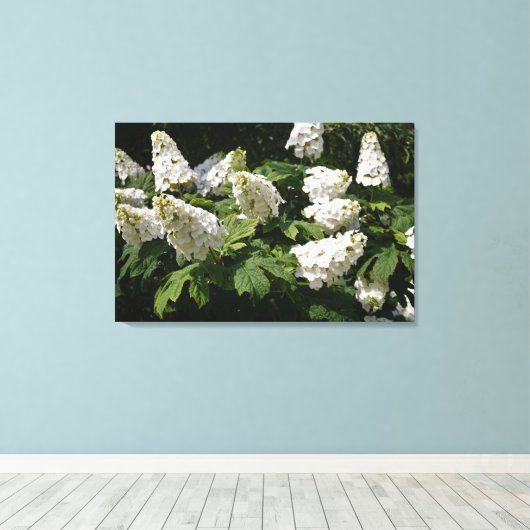 36"x24" Oakleaf Hydrangea キャンバスプリント (インサイチュ (ウッドフロア))