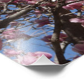36"x24" Pink Magnolia フォトプリント (角)