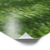 36"x24" Redbud フォトプリント (角)