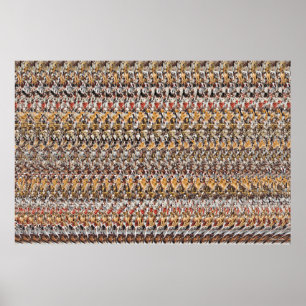 36" x 24" "子犬の遊" 3D魔法Eye® ポスター