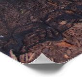 36" x 24" Chrissy Kittens By The Log ポスター (角)