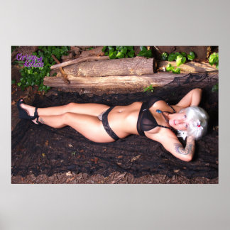 36" x 24" Chrissy Kittens By The Log ポスター