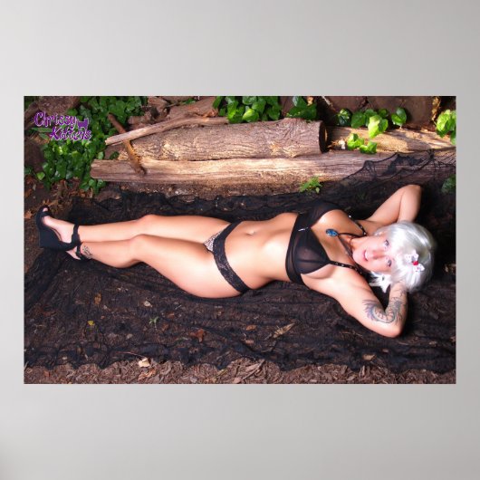 36" x 24" Chrissy Kittens By The Log ポスター (正面)