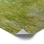 36x12グリズリーベアのポスター紙（マット） ポスター (角)