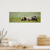 36x12グリズリーベアのポスター紙（マット） ポスター (キッチン)