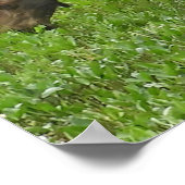 36x12  Poster Paper (Matte) of moose ポスター (角)