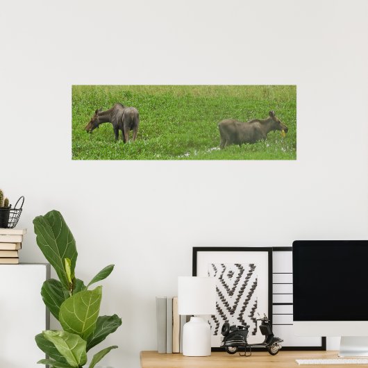 36x12  Poster Paper (Matte) of moose ポスター (ホームオフィス)