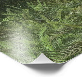 36x24インチ紙ポスターと「Stoney Way」画像 フォトプリント (角)