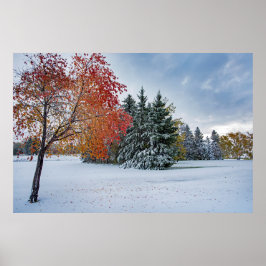 36x24ウォールポスター ポスター