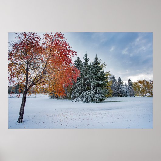 36x24ウォールポスター ポスター (正面)