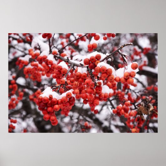 36x24ウォールポスター ポスター (正面)