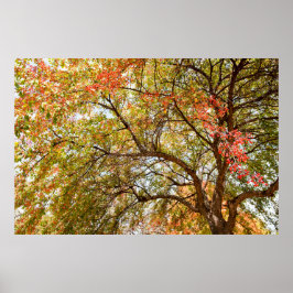 36x24ウォールポスター ポスター