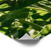 36x24ウォールポスター ポスター (角)