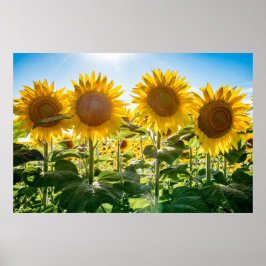 36x24ウォールポスター ポスター