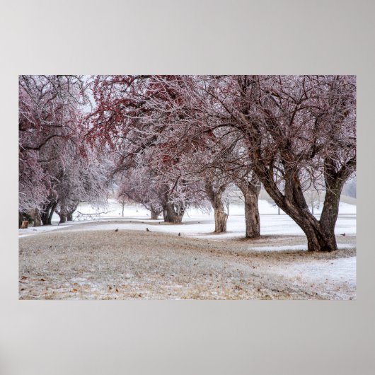 36x24ウォールポスター ポスター (正面)