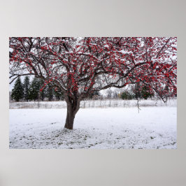 36x24ウォールポスター ポスター