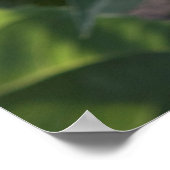 36x24ウォールポスター ポスター (角)