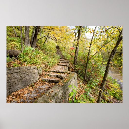 36x24ウォールポスター ポスター (正面)