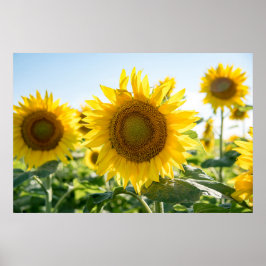 36x24ウォールポスター ポスター