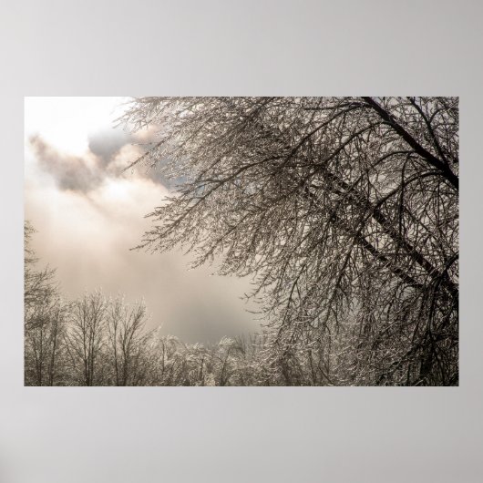 36x24ウォールポスター ポスター (正面)