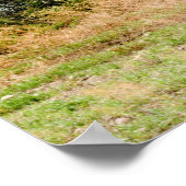 36x24ウォールポスター ポスター (角)