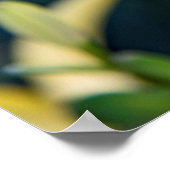 36x24ウォールポスター ポスター (角)