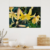 36x24ウォールポスター ポスター (キッチン)