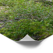 36x24ウォールポスター ポスター (角)