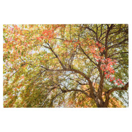 36x24メタルウォールアート メタルプリント