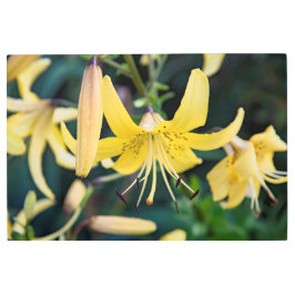 36x24メタルウォールアート メタルプリント