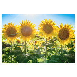 36x24メタルウォールアート メタルプリント