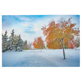 36x24メタルウォールアート メタルプリント