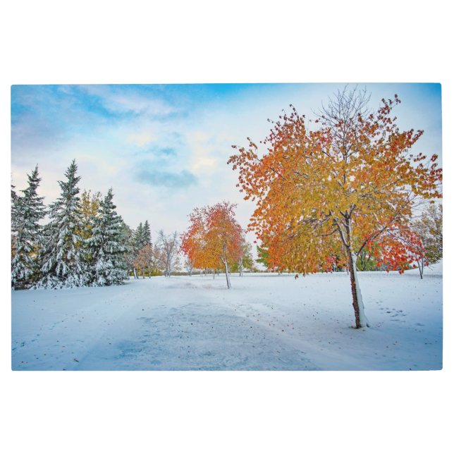 36x24メタルウォールアート メタルプリント (正面)