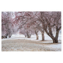 36x24メタルウォールアート