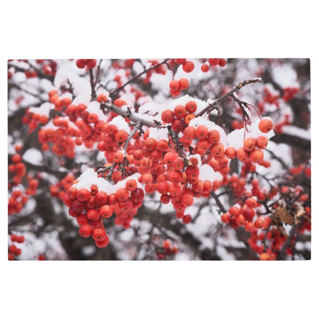 36x24メタルウォールアート メタルプリント (正面)