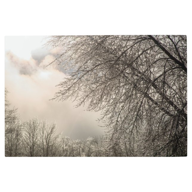 36x24メタルウォールアート メタルプリント (正面)