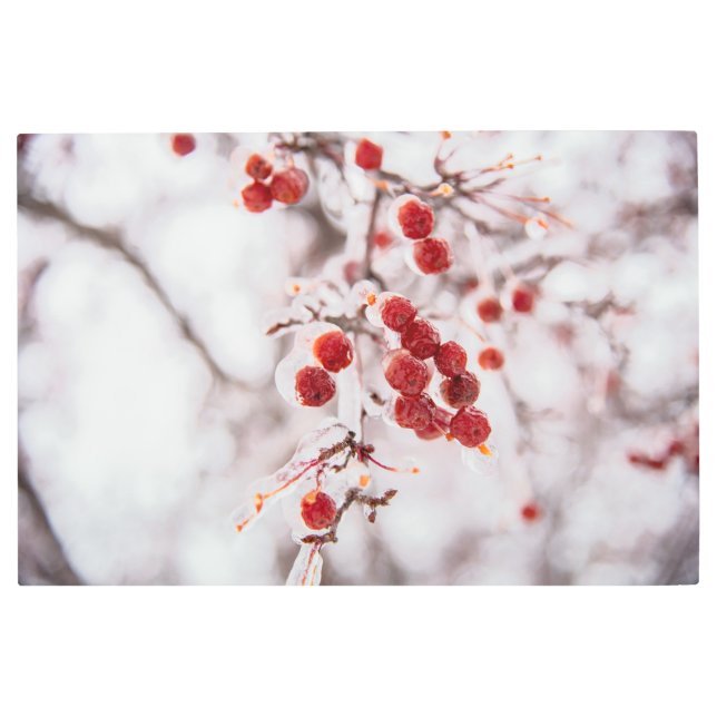 36x24メタルウォールアート メタルプリント (正面)