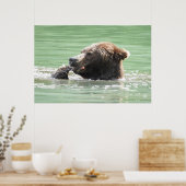 36x24白熊のポスター紙(マット) ポスター (キッチン)
