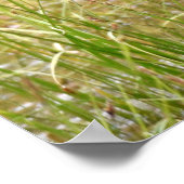 36x36ムースのポスター紙(マット) ポスター (角)