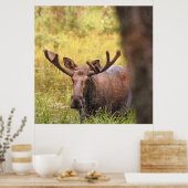 36x36ムースのポスター紙(マット) ポスター (キッチン)