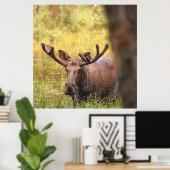 36x36ムースのポスター紙(マット) ポスター (ホームオフィス)