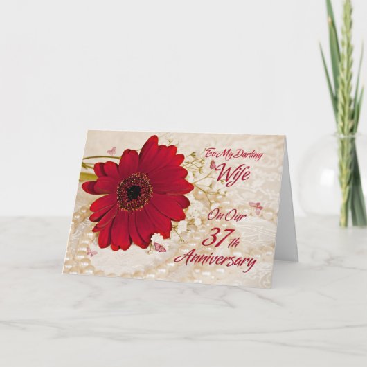 37回目の結婚記念日に妻へ、デイジーの花 カード (正面)