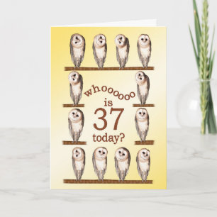 37歳の誕生日、奇妙なフクロカード。 カード